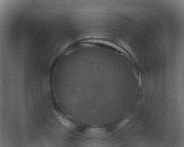 X0000068740205200605011034