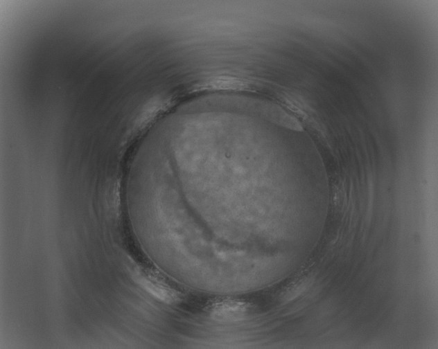 X0000068740206200605011034