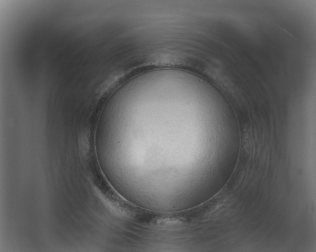 X0000068740208200605011034