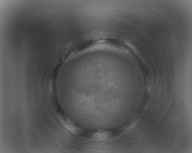 X0000068740213200605011034