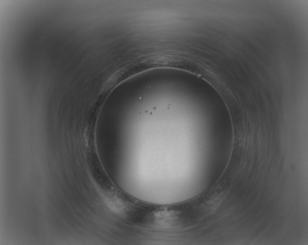 X0000068740216200605011034