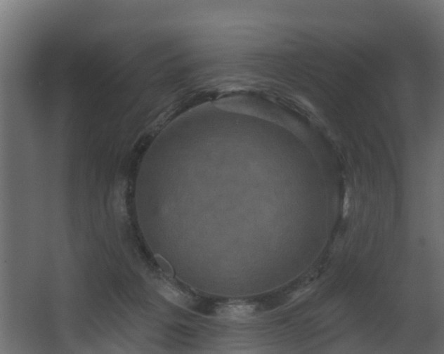 X0000068740217200605011034