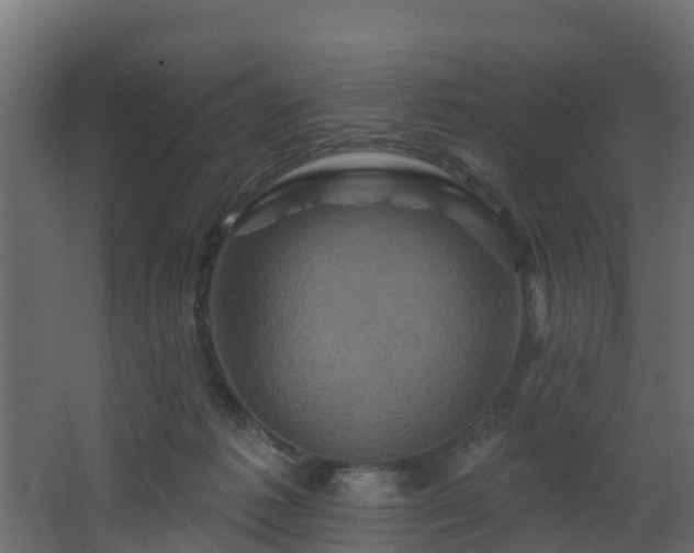 X0000068740221200605011034