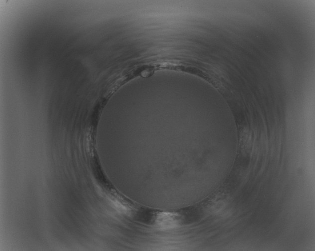 X0000068740222200605011034