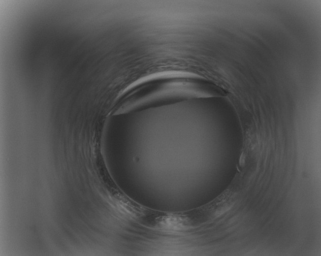 X0000068740223200605011034