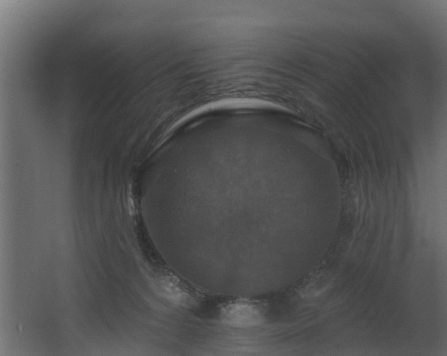 X0000068740224200605011033