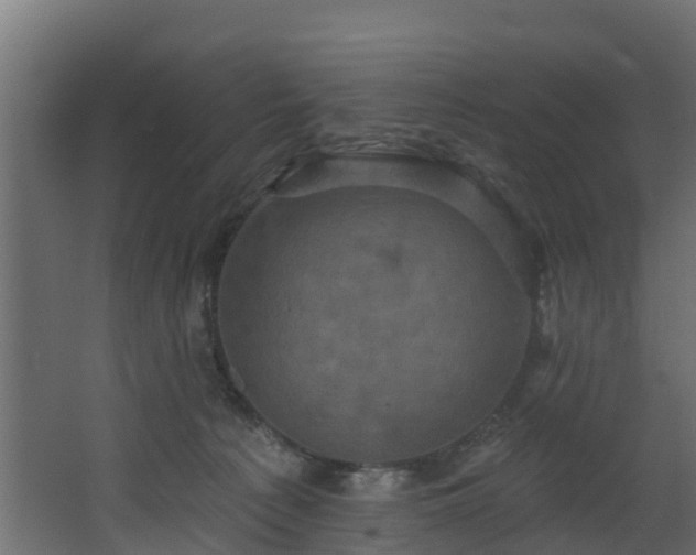 X0000068740225200605011033