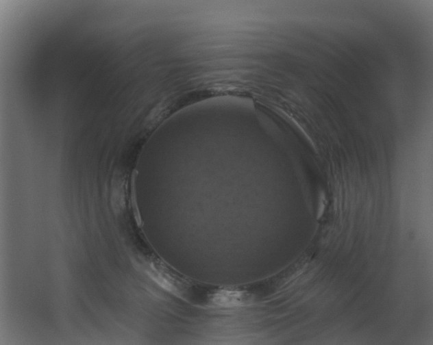 X0000068740227200605011033