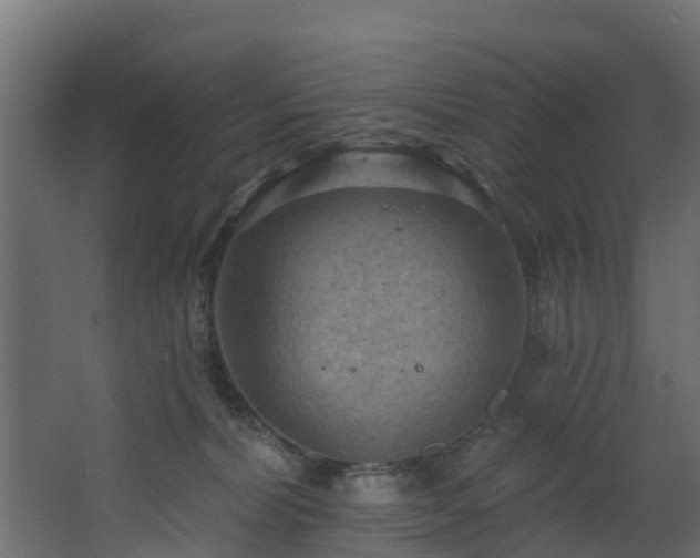 X0000068740228200605011033