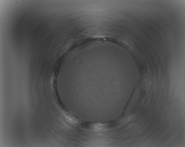 X0000068740229200605011033