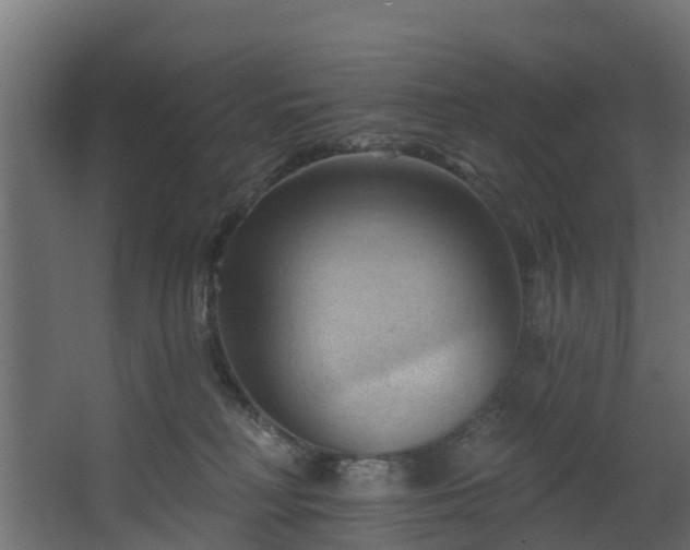 X0000068740230200605011033