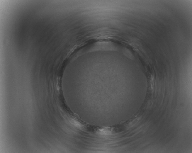 X0000068740232200605011033