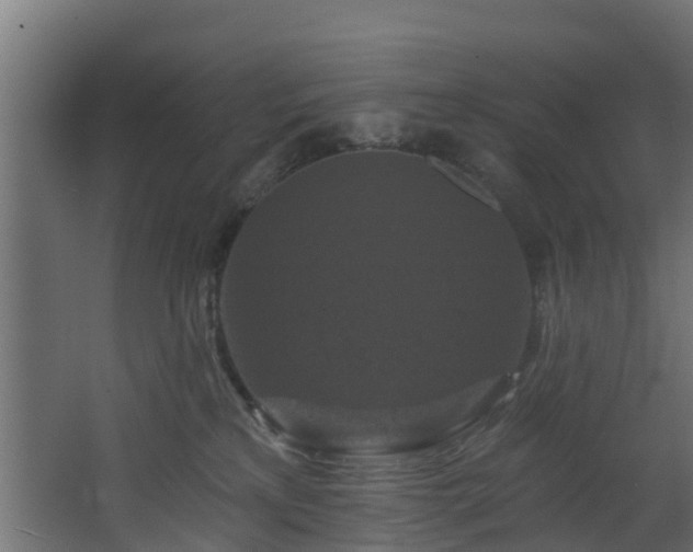 X0000068740233200605011033