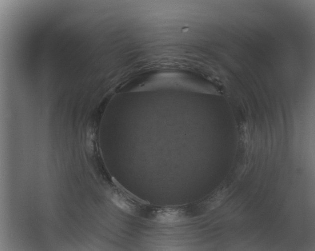 X0000068740235200605011033