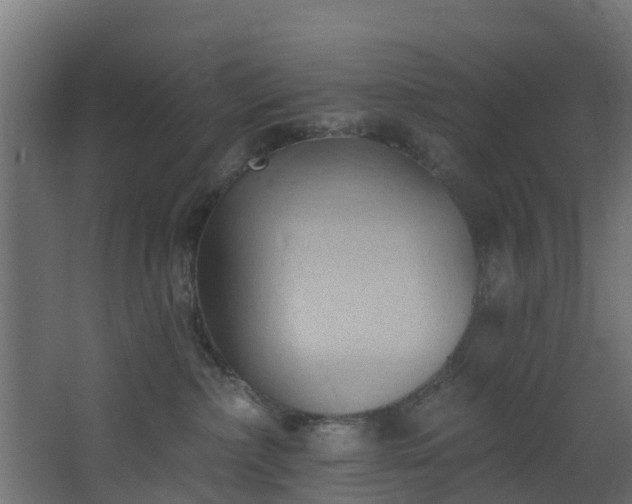 X0000068740236200605011033