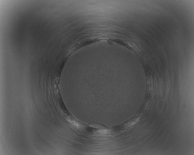 X0000068740237200605011033