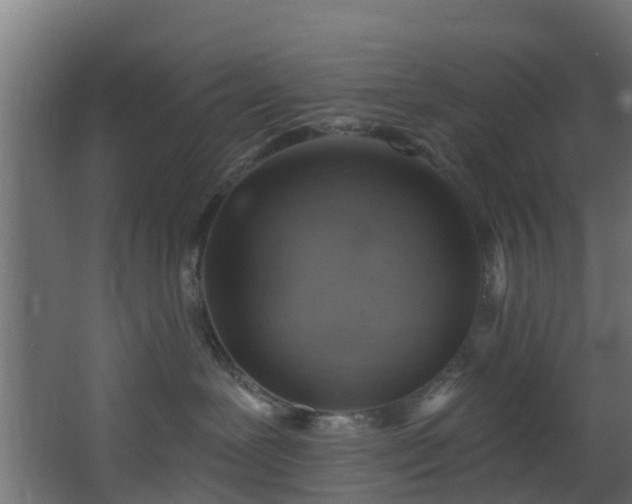 X0000068740239200605011033