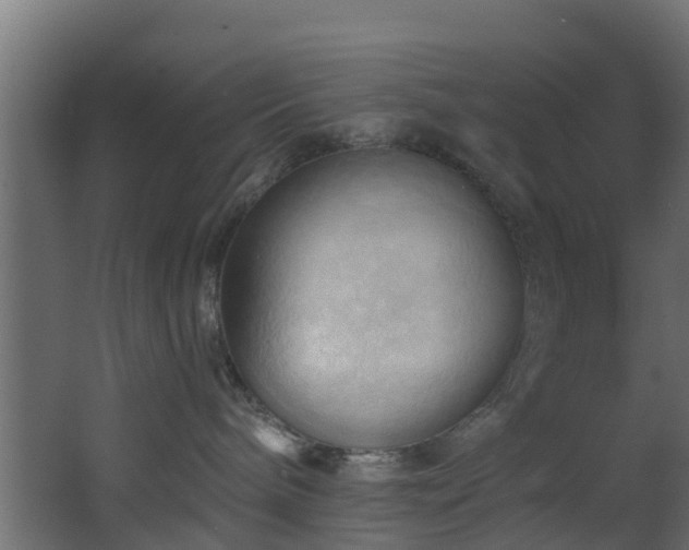 X0000068740240200605011033