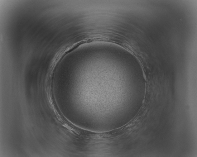 X0000068740241200605011032