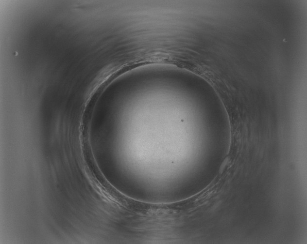 X0000068740242200605011032