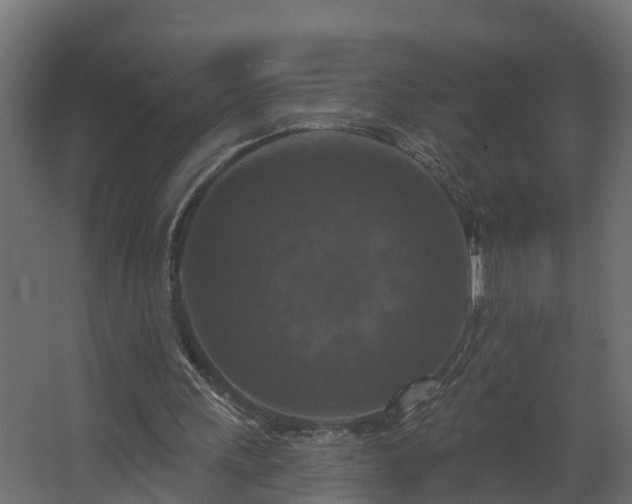 X0000068740243200605011032