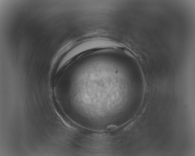 X0000068740245200605011032