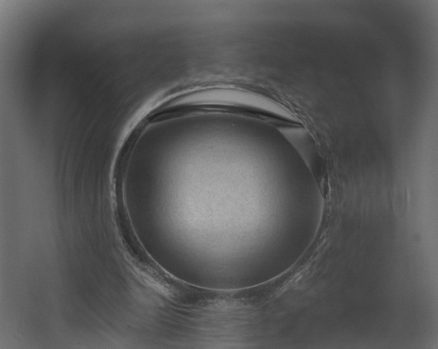 X0000068740246200605011032