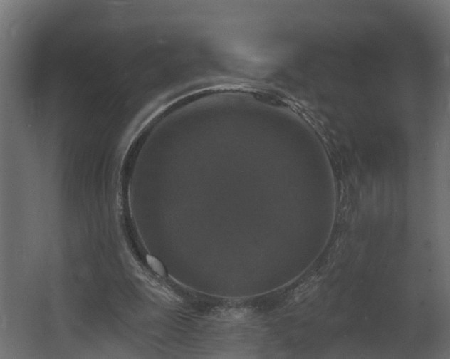 X0000068740247200605011033