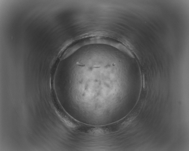 X0000068740253200605011033