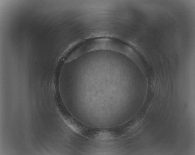 X0000068740256200605011033