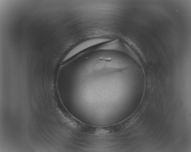 X0000068740257200605011033