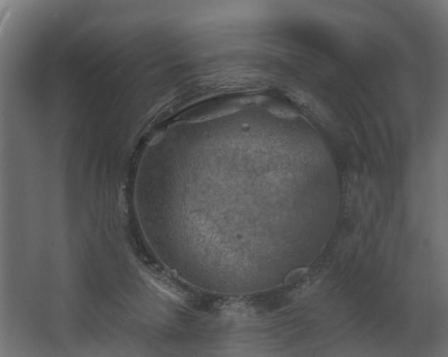 X0000068740258200605011033