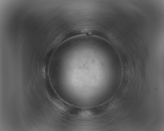 X0000068740262200605011033