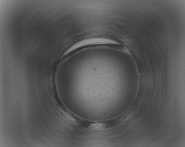 X0000068740269200605011033