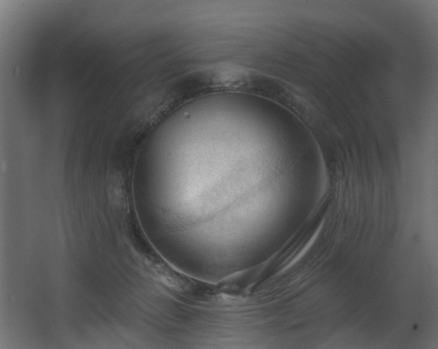 X0000068740270200605011033