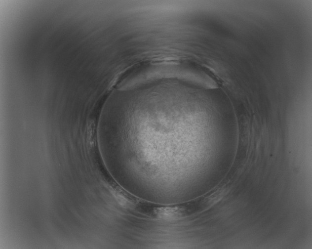 X0000068740273200605011033