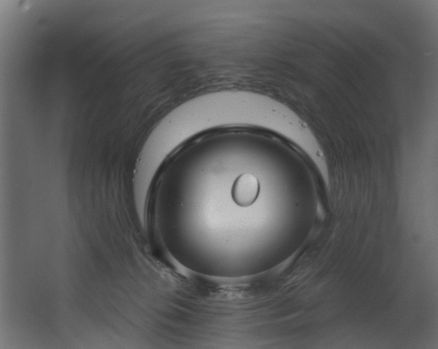 X0000068740276200605011033