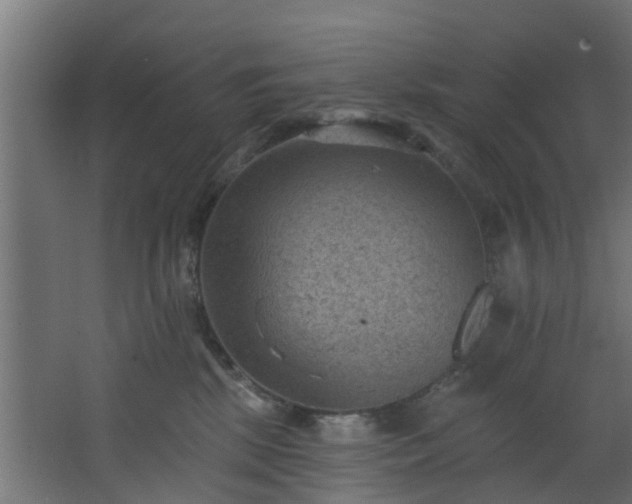 X0000068740281200605011033