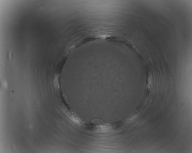 X0000068740286200605011033