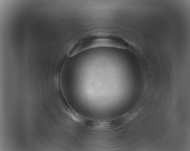 X0000068740288200605011033