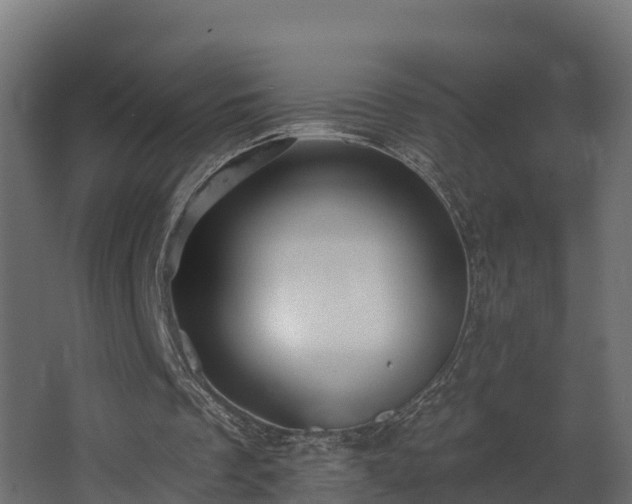 X0000068740289200605011032