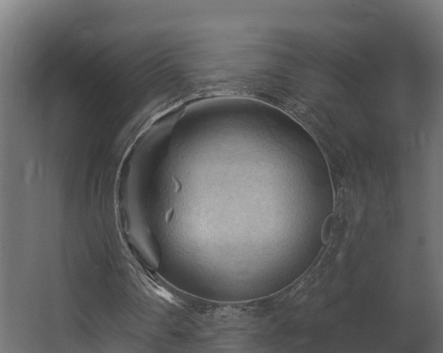 X0000068740290200605011032