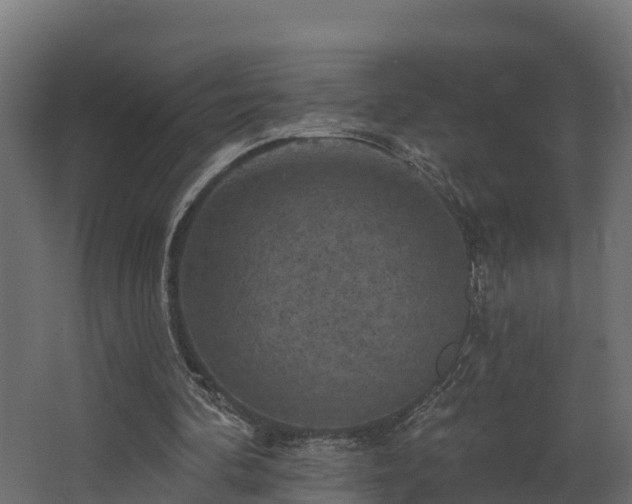 X0000068740292200605011032