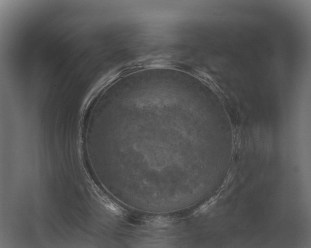 X0000068740293200605011032