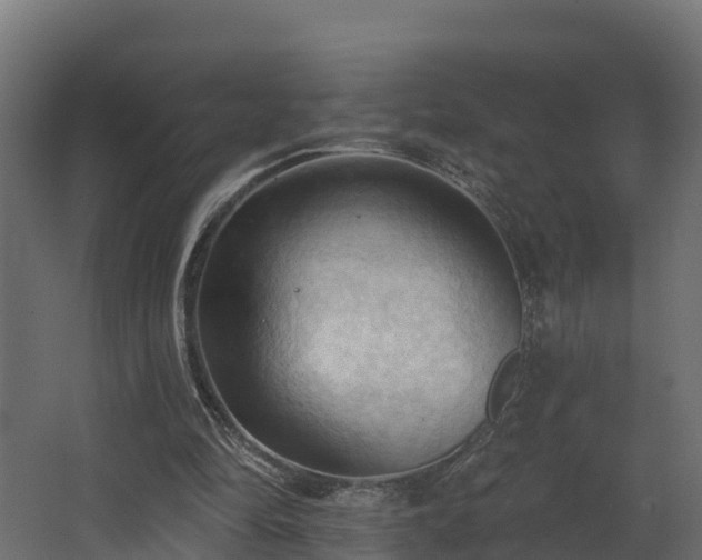 X0000068740294200605011032