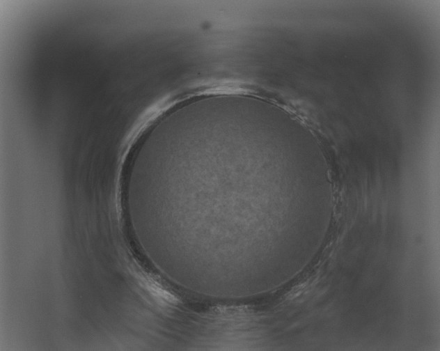 X0000068740296200605011032