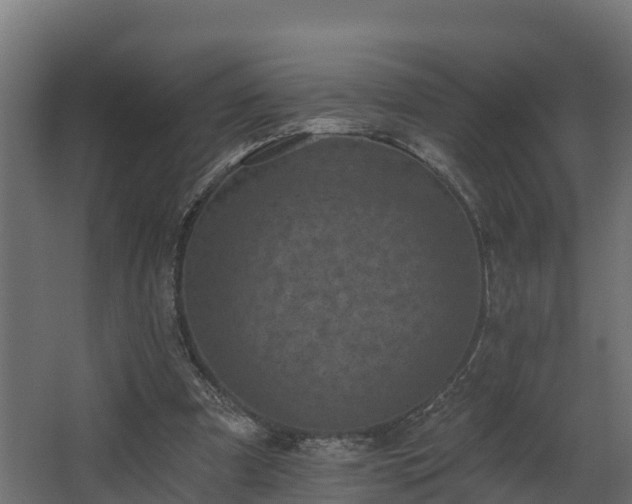 X0000068740297200605011032