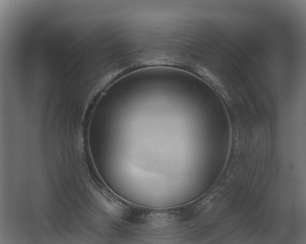 X0000068740298200605011032