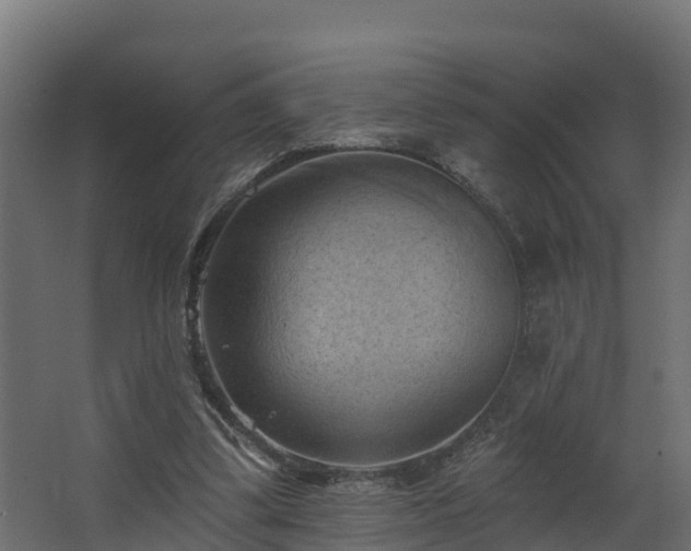 X0000068740299200605011032