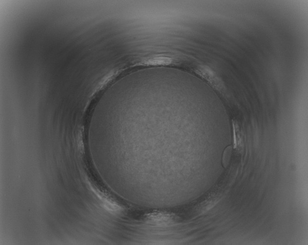 X0000068740300200605011032